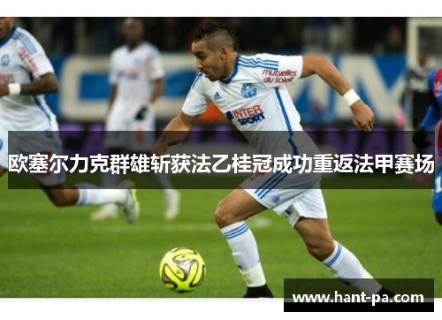 欧塞尔力克群雄斩获法乙桂冠成功重返法甲赛场